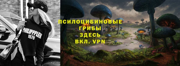 ПСИЛОЦИБИНОВЫЕ ГРИБЫ Балахна