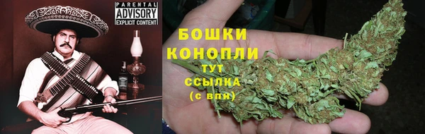спайс Баксан