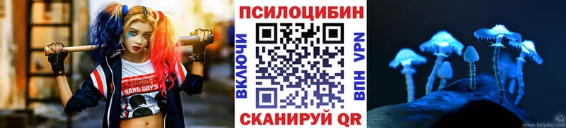 Галлюциногенные грибы Psilocybine cubensis  Североуральск 